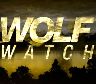 featured-teen-wolf-watch